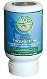 Fucoxanthin By In Shape - 90 Veggie Capsules