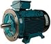 Brook Crompton BC2M025-5 25HP 3600RPM 575V Cast Iron IEC 160L Foot