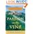 Passion on the Vine: A Memoir of Food, Wine, and Family in the Heart of Italy