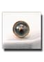 Mustard Seed - Gold - Tie Tacks And Lapel Pins