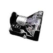 Mitsu. Present Mitsubishi VLT-EX100LP - projector lamp ( VLT-EX100LP )