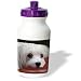 Dogs Maltese - Maltese - Water Bottles