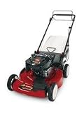 Toro Recycler Self-Propelled Mower Briggs & Stratton 6.75 TP (22) #20330