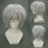 1 X Tokyo Ghoul Anime Ken Kaneki Cosplay Wig White Hair by Hotodeal