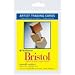 Strathmore Artist Trading Cards 2 1/2 in. x 3 1/2 in. 300 series Bristol smooth Pack 20 cards