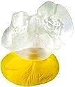Kenzo Classic By Kenzo For Women. Eau De Toilette Splash 1.7 Oz