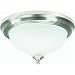 Westinghouse Light D 69833 2-Pack Ceiling Fixture