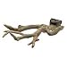 Treetop Perch - Large