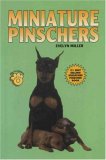 Miniature Pinschers (KW)