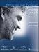 Books : Because We Believe (Piano Vocal, Sheet music)