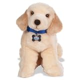 Cold Nose Kisses Amazing Puppies - Golden Retriever