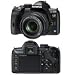 EVOLT E-520 10.0 MEGAPIXEL, 2.5 INCH LIVE-VIEW LCD SCRREN, BUILT IN IMAGE STABELIZER DIGITAL SLR W/14-42 ED ZOOM LENS KIT