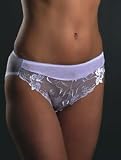 Sheer brief panty