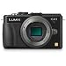 Panasonic Lumix DMC-GX1 16 MP Micro 4/3 Compact System Camera with 3-Inch LCD Touch Screen Body Only (Black)