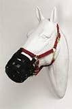 Buy : Best Friend Standard Grazing Muzzle