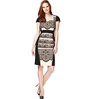 Cotton Rich Placement Lace Print Shift Dress