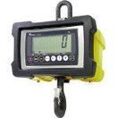 テラオカ　クレーンスケール　DS204500