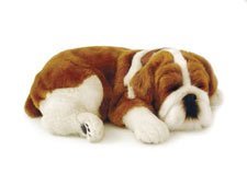 Childrens Toyshop  Toys : Perfect Petzzz Bulldog Puppy