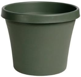 TERRAPOT THYME GREEN 10" (Pkg of 10)