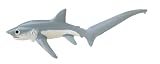 Big-Eye Thresher Shark, Monterey Bay Aquarium, Scale 1/20