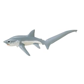 Click here to buy Big-Eye Thresher Shark, Monterey Bay Aquarium, Scale 1 20 by Safari.