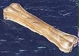 8.5 Inch Pressed Bone 10 Count