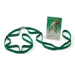 Stretch Out Strap with Booklet