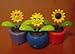 Solar Powered Dancing Sunshine Flowers, Daisies, Lady Bug, Bee, Butterfly, Bunny (Sunshine Flower Purple Pot 4 1/2