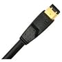 Monster Cable Digital Back to Computer Cable : IEEE 1394 6-to-6 Pin, 20ft. 20 ft. Digital Back to PC FireWire 6-to-6 Pin (J2 DBPC6/6-20)