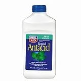 Rite Aid Liquid Antacid, Mint Cream 26 fl oz