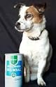 Sea-Meal - An All Natural Organic Vegan Quality Vegetarian Pet Food