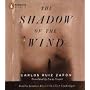 The Shadow of the Wind