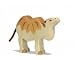 Camel, small_s-1
