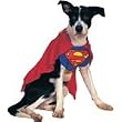 Superman Pet Costume