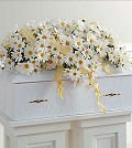21%2BJuphkxaL. SL160  Same Day Flower Delivery Infant Casket Spray with Daisies