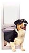 PetSafe Deluxe Pet Panel Panels for Sliding Glass Doors 76-3/4 to 81 Tall, Small, White