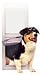 PetSafe Deluxe Pet Panel Panels for Sliding Glass Doors 76-3/4 to 81 Tall, Small, White