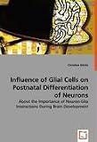 Influence of Glial Cells on Postnatal Differentiation of Neurons