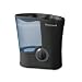 Ionic Pro Air Purifier Important Hint For Ecoquest Air Purifier 21%2BKzD8zktL. SL75 Ionic Pro Air Purifier Important Hint For Ecoquest Air Purifier