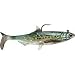 Wildeye Live Series Sardine Size 6