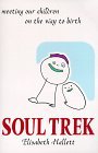 Soul Trek: Meeting Our Children on the Way to Birth