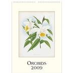 Orchids 2009 Poster Calendar
