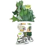 Magnaturals Large Hanging Jungle – Magnetic Decor