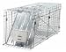 Havahart Livecatch Collapsible Raccoon/Armadillo/Woodchuck Trap, 32 x 10.75 x 12.75