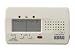 Korg CA-1 Chromatic Tuner