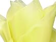 10 Sheets Gift Tissue Paper - Each Sheet 20" X 26" - Wedding/Shower/Party/Gift Wrap - Yellow