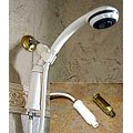 Paragon Shower Hose Water Filter