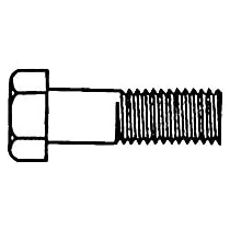 Stainless Steel HEX CAP 1/4-20x1/2, box of 100, Pack of 100