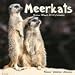 Meerkats 2010 Wall Calendar