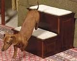 Pet Supplies : Simpson Ventures Mr. Herzher's Decorative Pet Step - 2 Step